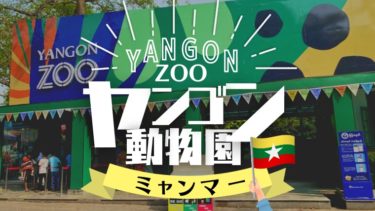 隠れ観光スポット？手軽に楽しめるヤンゴン動物園の魅力【ミャンマー】