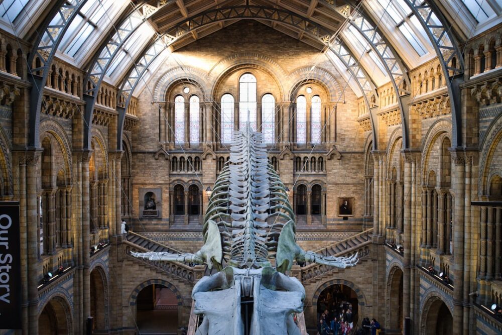 モラヴィア博物館