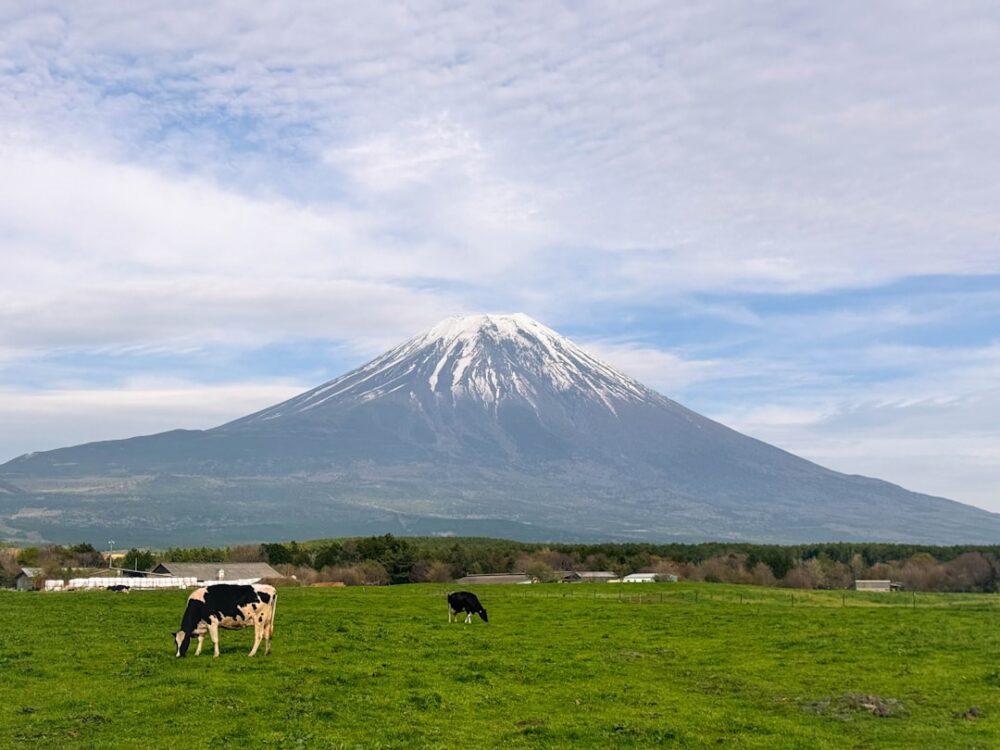 yamanashi mount fuji countryside japan