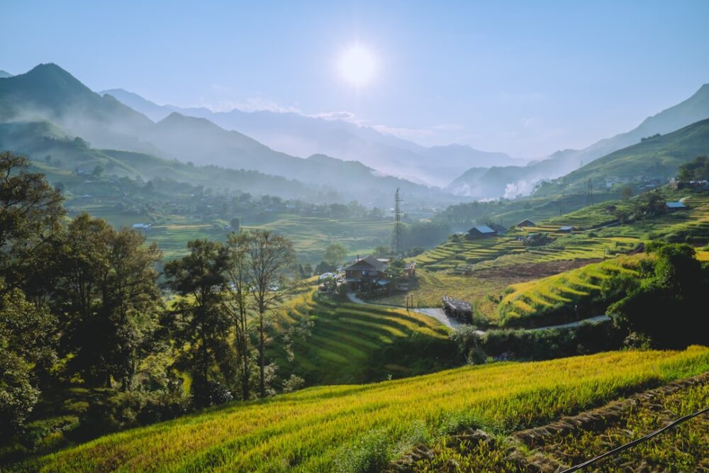 vietnam landscape rice terraces