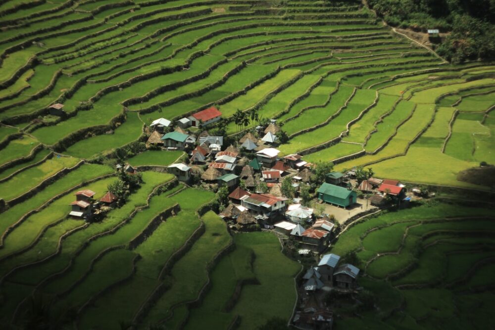 philippines tourist attraction rice terrace