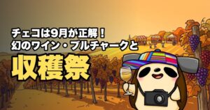 チェコのベストシーズンは9月！？幻のワイン・ブルチャークと収穫祭について